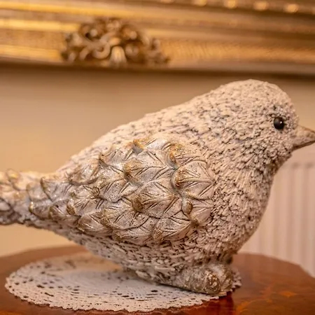 Artur 3* オシフィエンチム